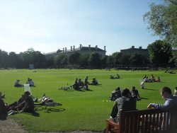 Jardins Trinity College