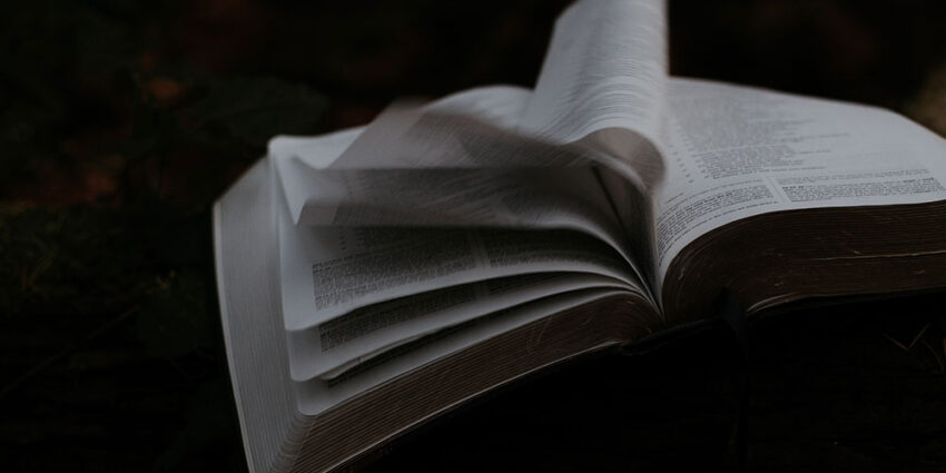 LD_salmanrushdieacaradacoragemliteraria_destaque