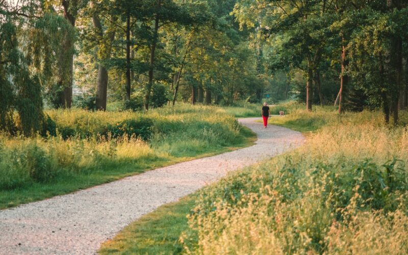 person in red jacket walking on pathway between green grass and trees during daytime