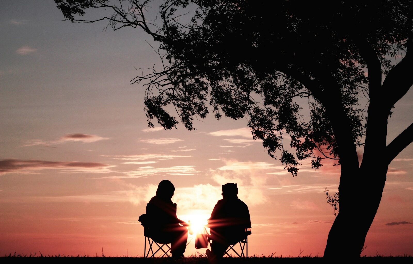 silhouette of two person sitting on chair near tree