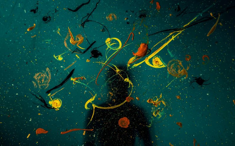 green and yellow fish on water